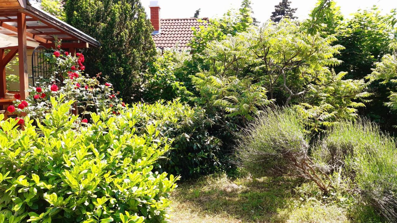 Willa Szalakota Haz Balatongyörök Zewnętrze zdjęcie